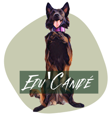 Educateur Canin Hérault